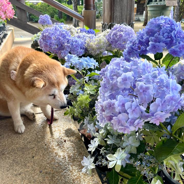 D04879c6 81e6 4789 8277 96558f05382f 1719116234049