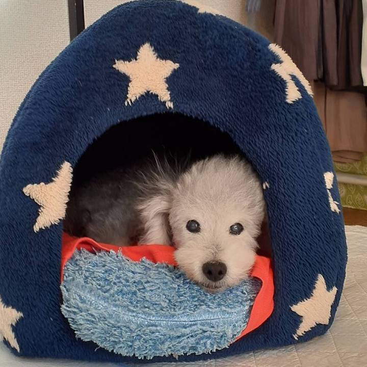 D048880f 7668 49f6 97c3 6dc4d5ab0b22 1628208798553