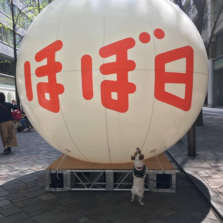 D048eee5 92e5 426e ad44 5b8aae861884 1555756982315