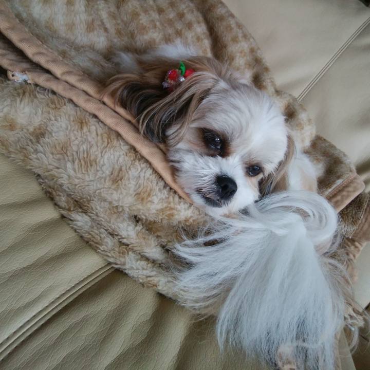 D0490f28 5c1c 4986 bc00 3f66b86d7810 1525837140608