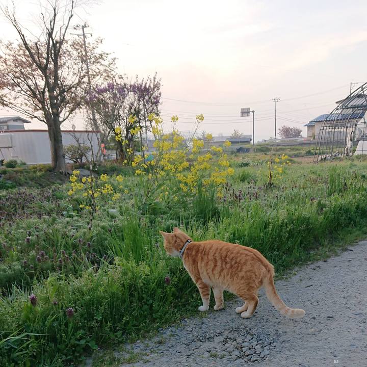 D0494bc0 322d 4f95 a00d 9258cb6df52f 1588452907494