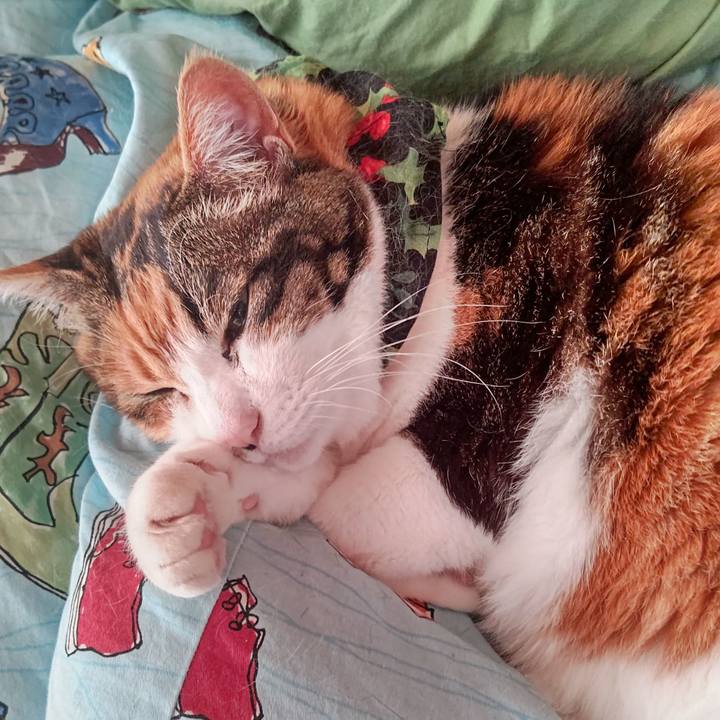 D0497b37 f15b 4528 8db4 4b6b70f71be0 1650334057875