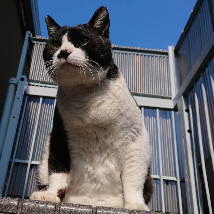 D04981c4 a2f0 4389 9482 d6e834714453 1586560834574