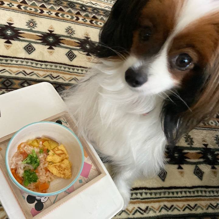 D049ec76 7fa9 4c92 8be9 c5d8ed3d9c25 1633664966086