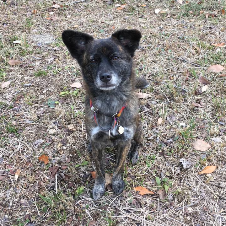 D049f5c6 9592 4797 b40f 35e97d336964 1514524330993