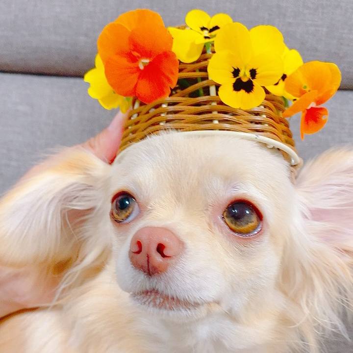 D04a141c 5040 475a 94fa 40da526257fe 1620363309422