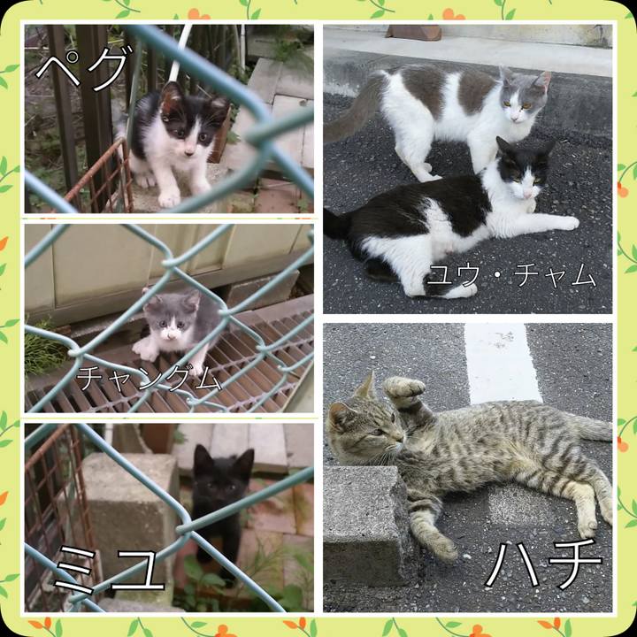 D04a282b 889d 4af9 98c1 d8c30ee04cdd 1530098110451