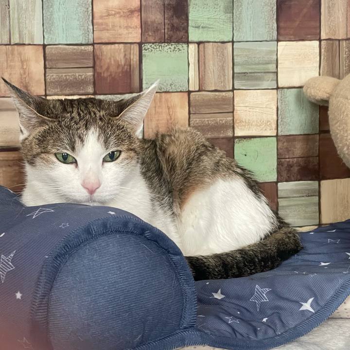 D04a50dc 5248 4ce8 8c2b 3e5fe299d1bc 1639006006127