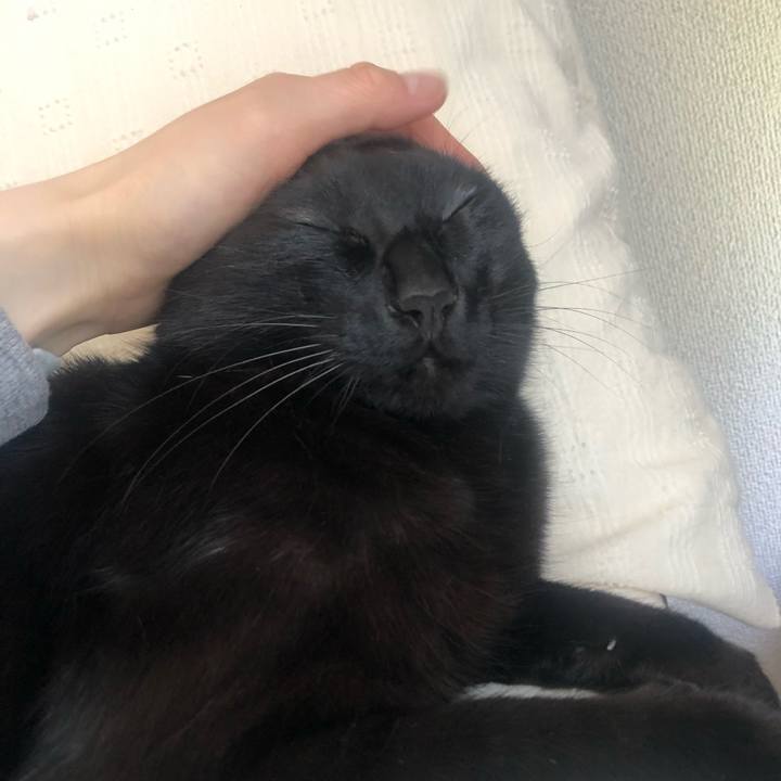 D04a78e7 2846 4874 b3ab c7a6afc873fd 1620001973652