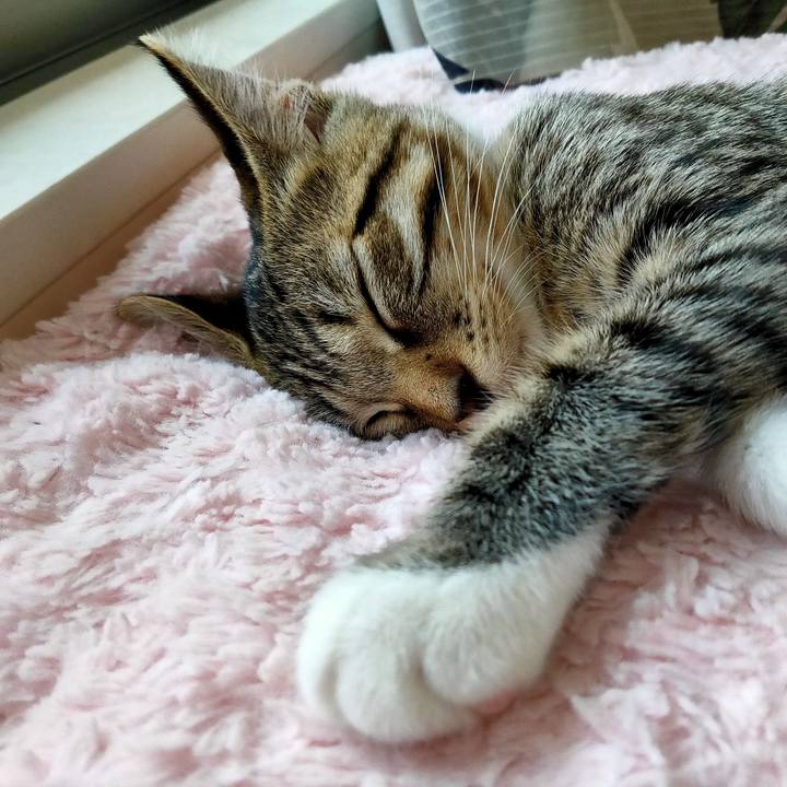 D04ac413 eada 4589 8c12 ca76d8d6c6bf 1628045182469