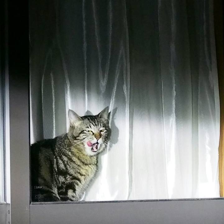 D04adcb5 dee0 43c5 b946 565fc7aa74f5 1521030340173