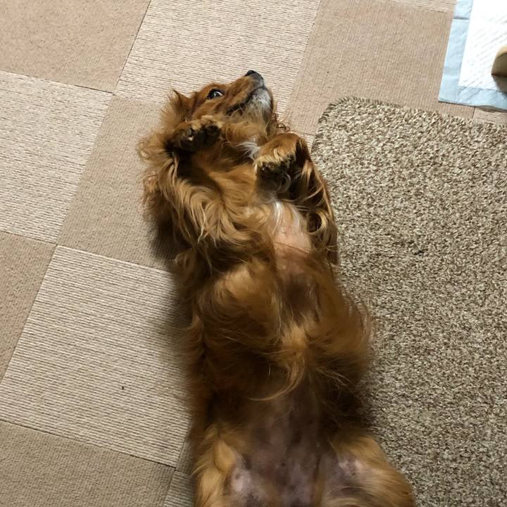 D04b01e2 2e7d 4ee5 8c1a 14fb476772c1 1611267666816