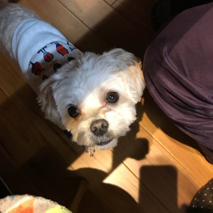 D04b0b20 f533 455e 96d7 5e642271456c 1519393824212