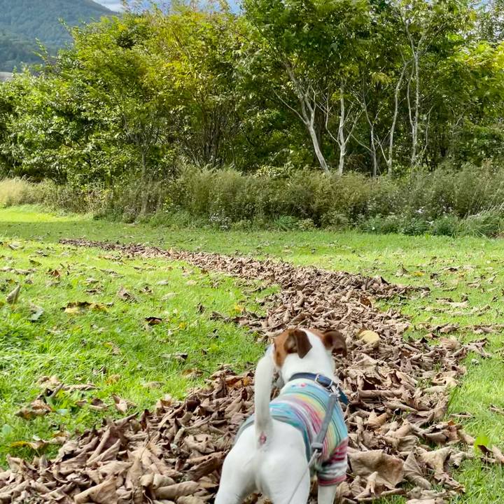 D04b1041 9ffa 4a1b b588 5a754d99a978 1632895781696