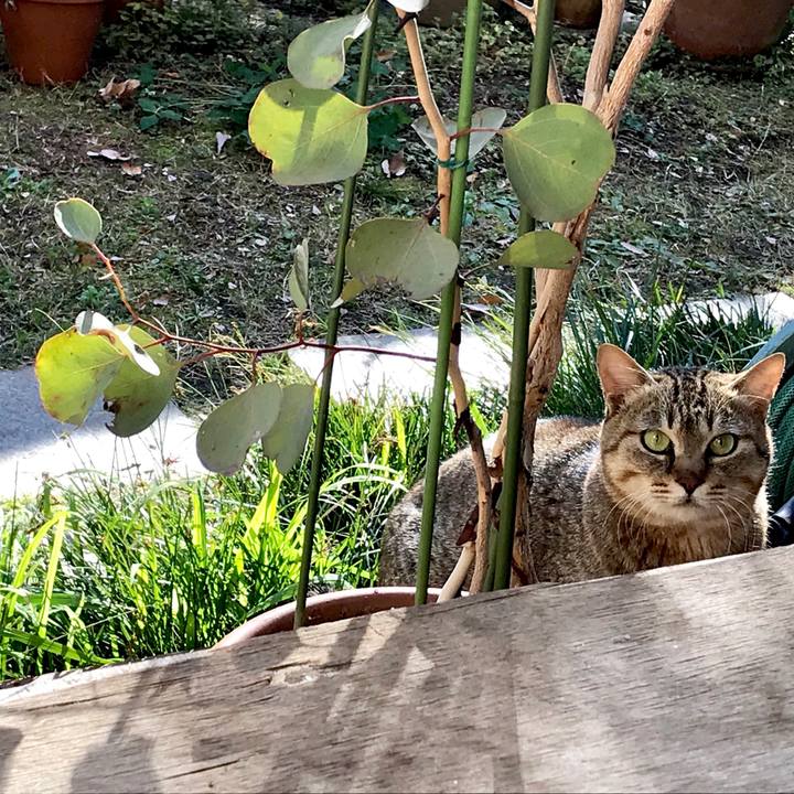 D04b412b c4bf 4016 8923 e5058d7955ae 1548473078674