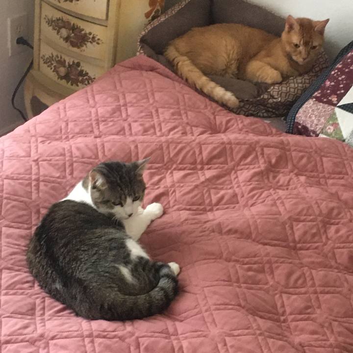 D04b66a2 b51c 40c0 9ab7 84d92f055c04 1670806601080