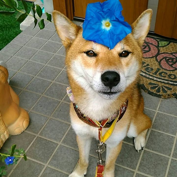 D04b69a9 baf6 4313 9711 1b3c3cf933e0 1536539048565