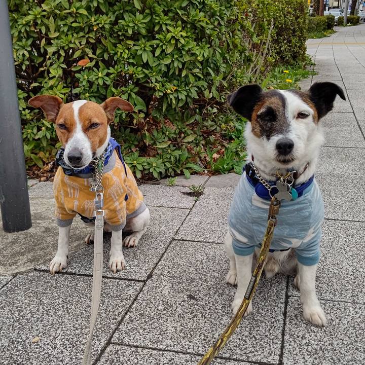 D04b918f 2e03 4813 a345 748bcdadf97b 1648343836052