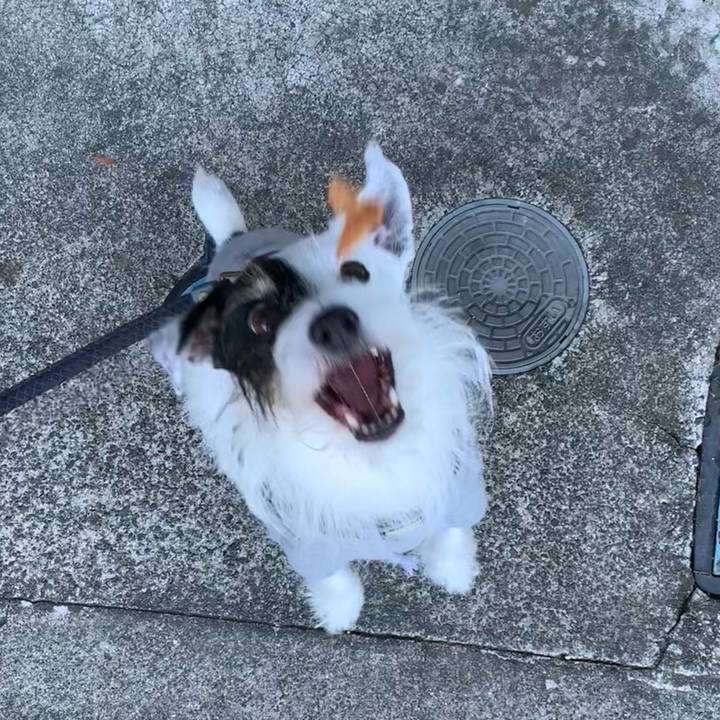 D04bbead 213e 4992 a2aa 8e30416362e0 1700437259087