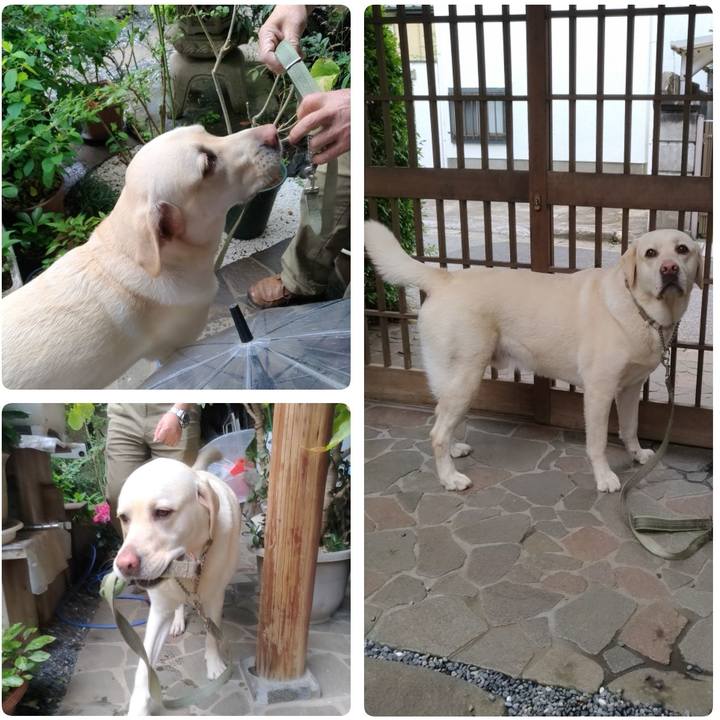 D04bc278 4673 4ec5 a7b8 3696ade82627 1556336552626