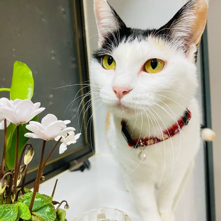 D04be342 e3a2 4a34 a790 3603589529fb 1671056598749