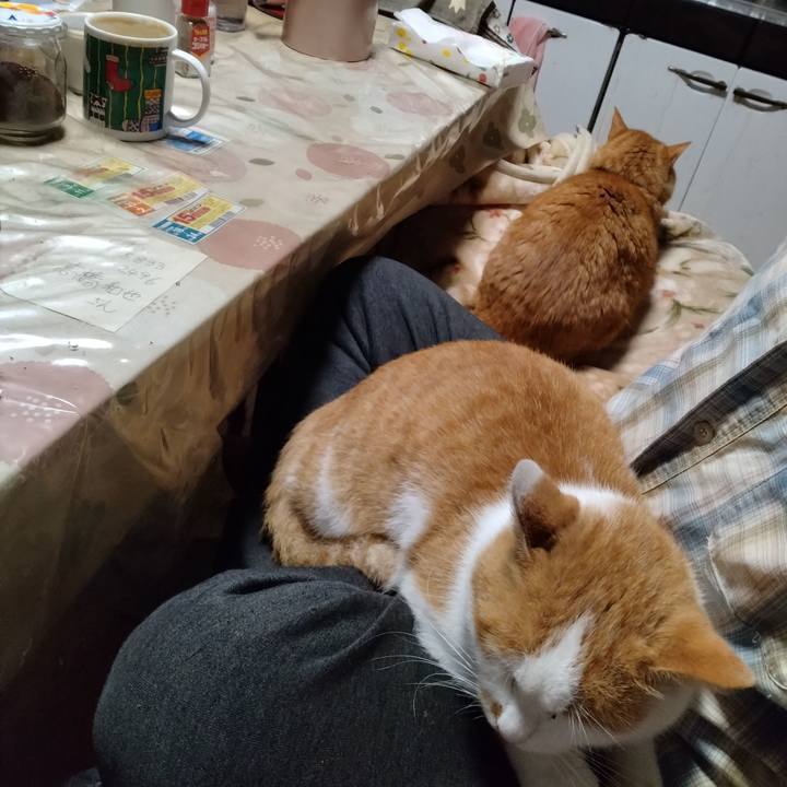 D04be794 6c67 46da a2d1 6845abff793e 1761690120045