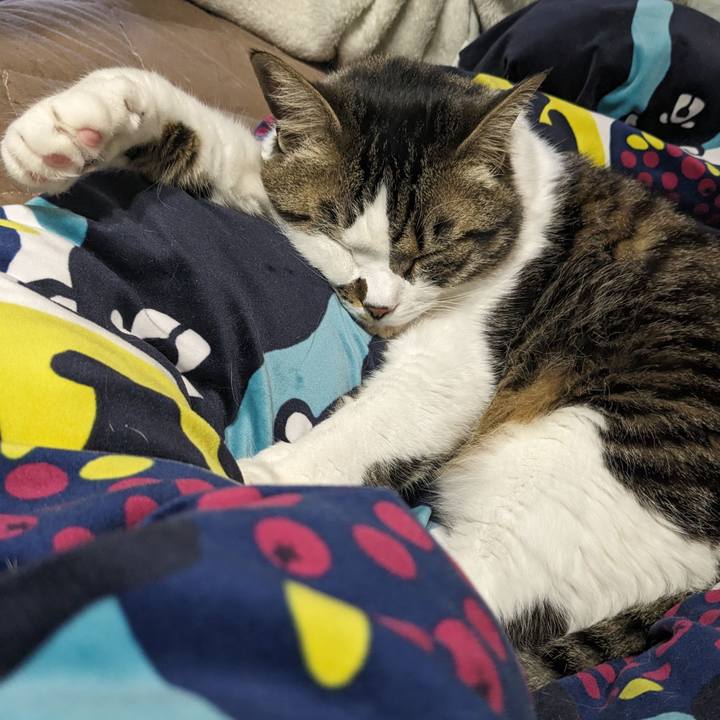 D04bf14c 0c67 44d6 ba79 8b653b817e16 1713081787681