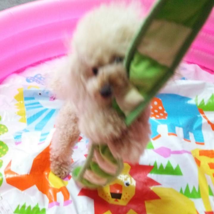 D04bff0f e188 4364 8768 25501e1bce4a 1532506256644