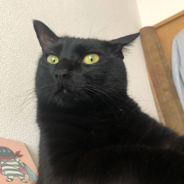 D04c19c9 a095 4549 85f2 92d4d3ae7390 1560947202353