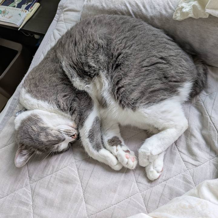 D04c47d2 b740 43a4 ae62 19ef6bb4ff9a 1748752951604