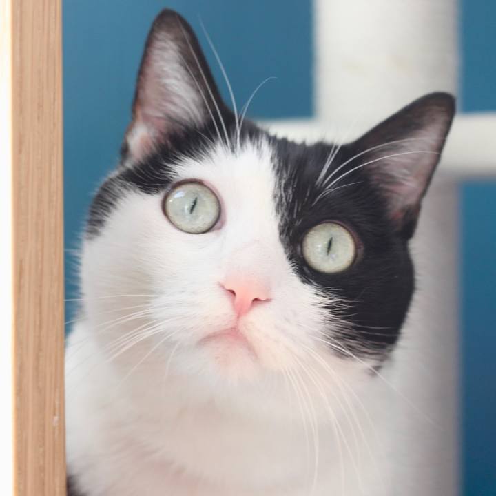 D04c5be5 d10f 474d 8893 7ed2cd1ae0dc 1570626428682