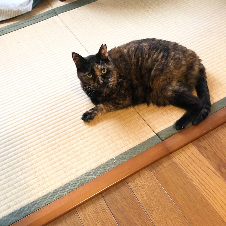 D04cd630 539d 4f1f 8f18 596f9969b9e4 1658367085527