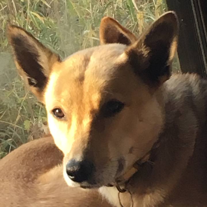 D04cf094 e8f3 4d9a ab48 2713048d248a 1517998282990