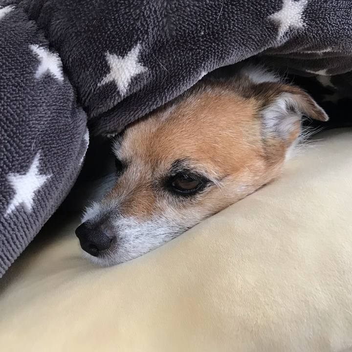 D04d0a29 659f 4a54 85d8 059025b4e078 1557555944109