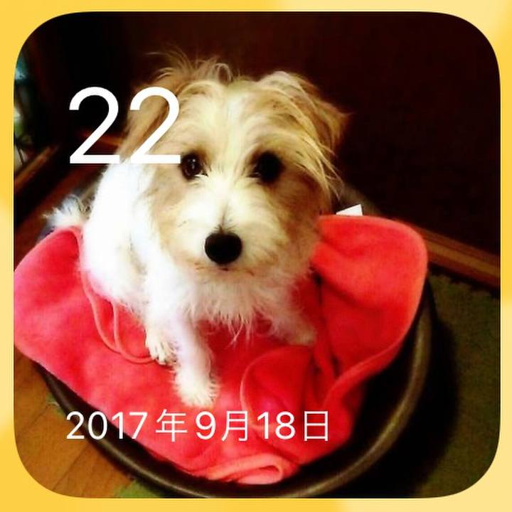 D04d11e9 c669 435b b02b 79ee7c2e8c61 1663794517830