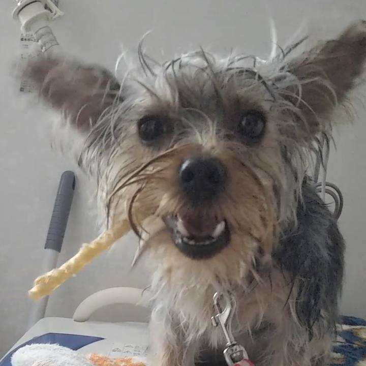 D04d2db1 616e 4dbe b584 11141fc90f2b 1545525267209