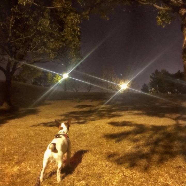 D04d5a58 c77c 4c56 89e2 daf37accf1bd 1517087556560