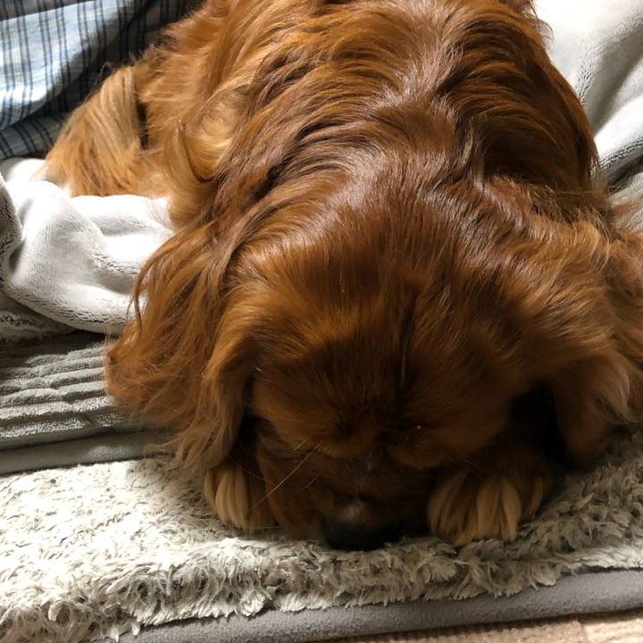 D04d6175 e446 4142 824b b628e8e2bfb5 1641993951275