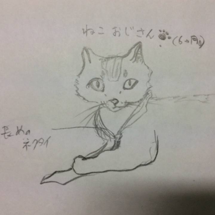 D04d7c7a 3af9 41a7 99d8 706bea6b1d9e 1565515553409