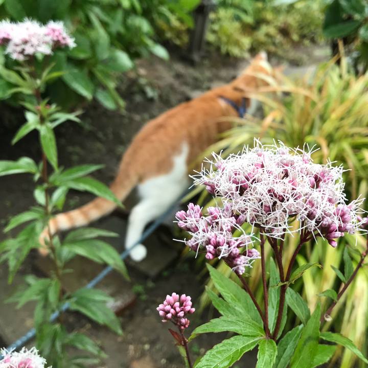 D04d7cc2 b872 4836 8668 4805ba781166 1508502471646