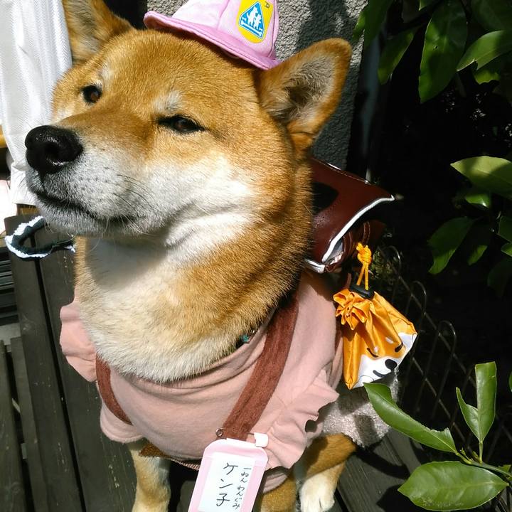 D04d9446 a56a 4e58 b2b8 0590a9d5955c 1523418792758