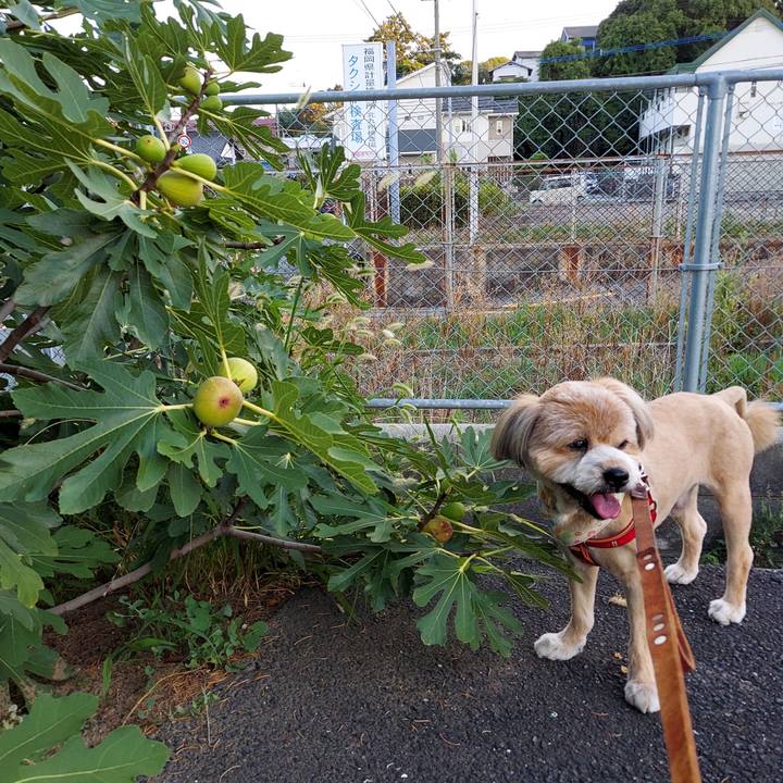 D04db517 c7bb 4a96 a951 0bd1d4450ea3 1628075306038