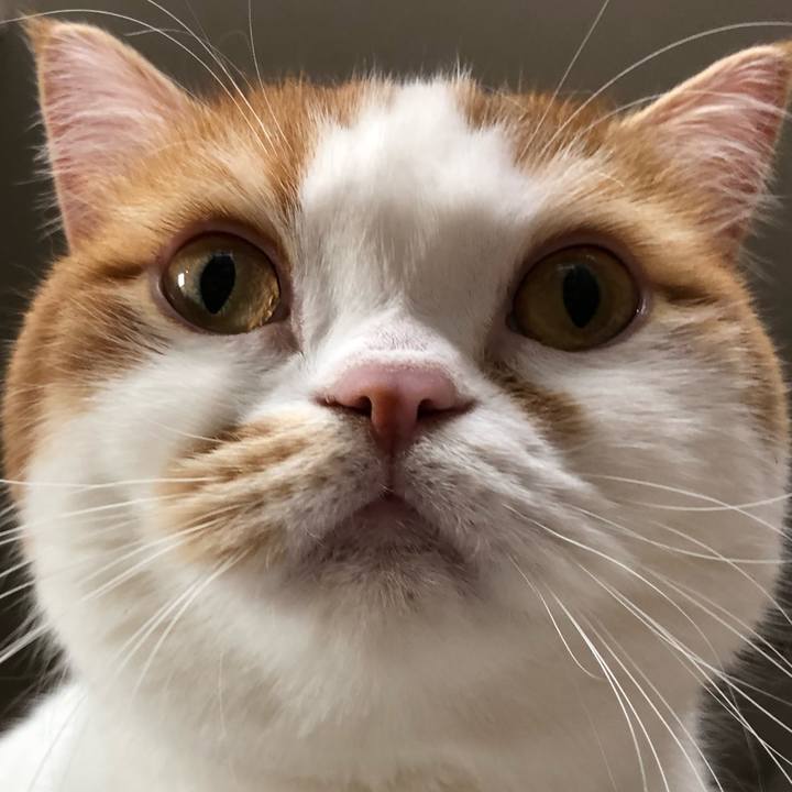 D04e0db1 a13e 451e a7fa 01ffcf9aee14 1559723974978