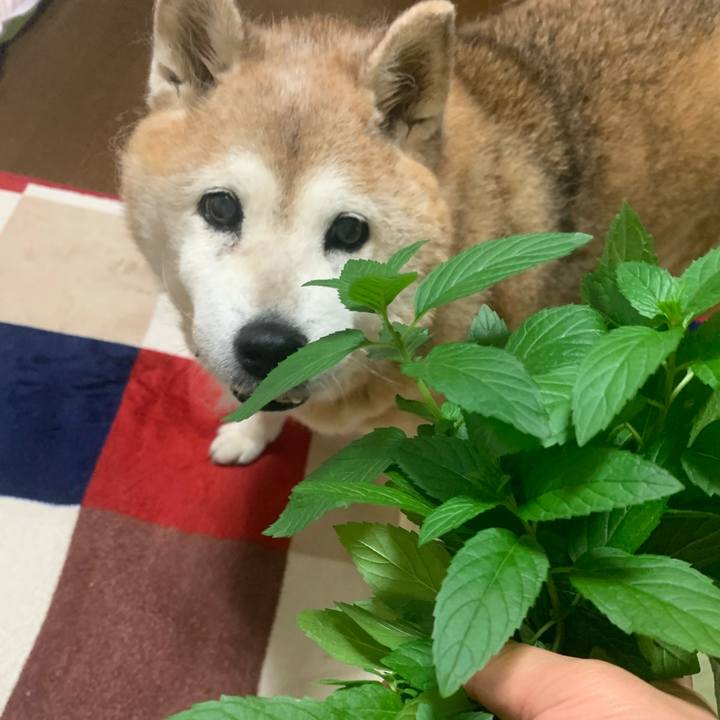 D04e290f b460 4161 bd42 8e5a276096f2 1654943585555