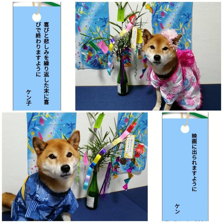 D04e4e3d d746 4664 870b 4211a316f880 1625582461784