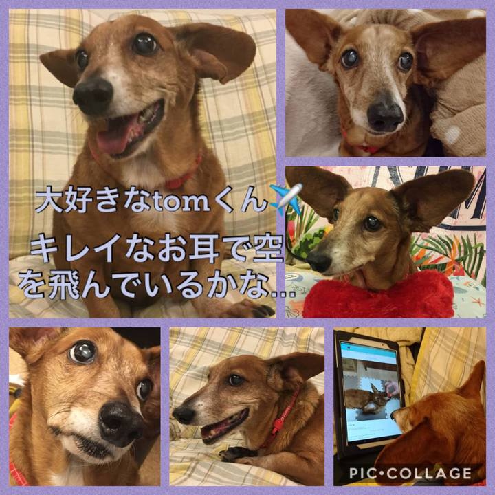 D04eb474 40a1 4217 bbd8 b17712860a6e 1552192504255