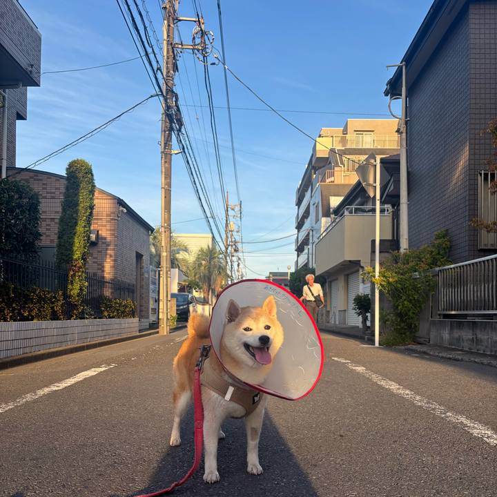 D04ecd4f 3118 4a13 9334 5f901044ee81 1756852096305