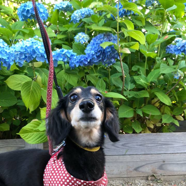 D04edaf4 27ae 4908 99ac 799c216ad08a 1591608472236