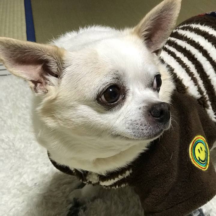 D04efebb e219 480a 84f6 220c3a238ddd 1581258099381