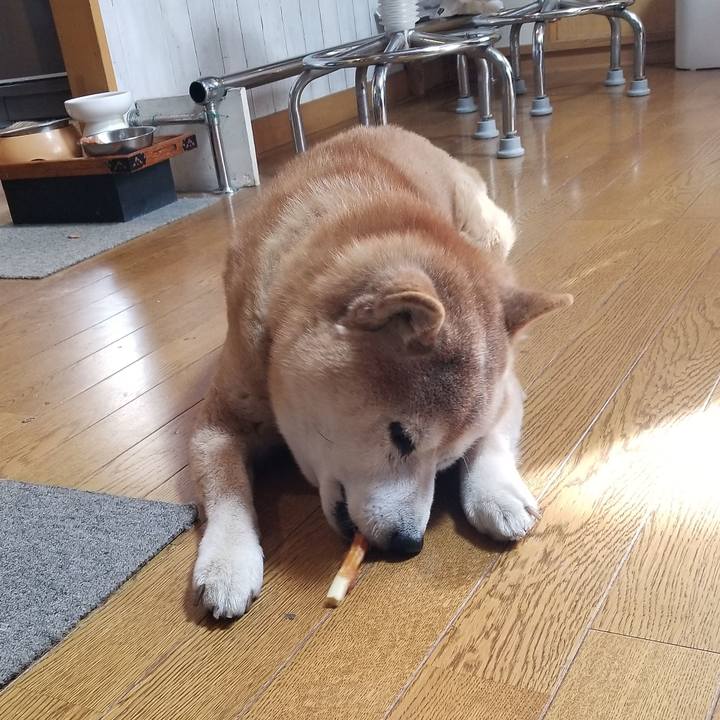 D04fae04 f023 4be3 bf1d 0ca39fef08a6 1741993524929